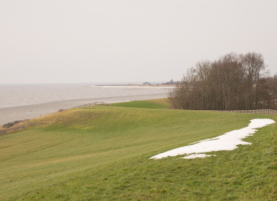 <i class='fa fa-user'></i>&nbsp;Tim Oord&nbsp;|  Restant Winter IJsselmeer&nbsp; <i class='fa fa-eye'>&nbsp;67</i> &nbsp; <i class='fa fa-comment-o'>&nbsp;4</i>