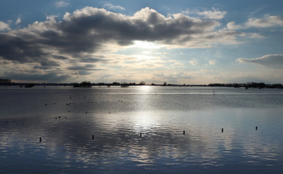 <i class='fa fa-user'></i>&nbsp;Ben Aalders&nbsp;|  Hoog water in tegenlicht&nbsp; <i class='fa fa-eye'>&nbsp;54</i> &nbsp; <i class='fa fa-comment-o'>&nbsp;8</i>