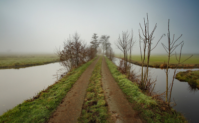 <i class='fa fa-user'></i>&nbsp;Pieter  LJ&nbsp;|  Mistig paadje&nbsp; <i class='fa fa-eye'>&nbsp;66</i> &nbsp; <i class='fa fa-comment-o'>&nbsp;3</i>