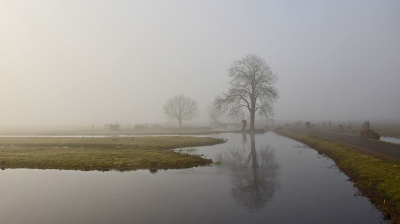 <i class='fa fa-user'></i>&nbsp;kooyammers&nbsp;|  Mist in Polder de Nesse&nbsp; <i class='fa fa-eye'>&nbsp;57</i> &nbsp;<i class='fa fa-thumbs-up'>&nbsp;1</i> &nbsp; <i class='fa fa-comment-o'>&nbsp;5</i>