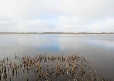 <i class='fa fa-user'></i>&nbsp;Tim Oord&nbsp;|  Wijds landschap (1)&nbsp; <i class='fa fa-eye'>&nbsp;63</i> &nbsp;<i class='fa fa-thumbs-up'>&nbsp;1</i> &nbsp; <i class='fa fa-comment-o'>&nbsp;4</i>