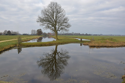 <i class='fa fa-user'></i>&nbsp;kooyammers&nbsp;|  Polder Groot Keulevaart&nbsp; <i class='fa fa-eye'>&nbsp;74</i> &nbsp; <i class='fa fa-comment-o'>&nbsp;2</i>