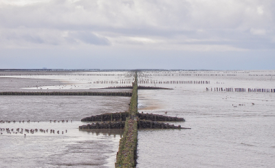 <i class='fa fa-user'></i>&nbsp;Tim Oord&nbsp;|  Licht op het Wad&nbsp; <i class='fa fa-eye'>&nbsp;100</i> &nbsp;<i class='fa fa-thumbs-up'>&nbsp;1</i> &nbsp; <i class='fa fa-comment-o'>&nbsp;3</i>