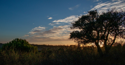 <i class='fa fa-user'></i>&nbsp;Eline Snijder&nbsp;|  Landschap&nbsp; <i class='fa fa-eye'>&nbsp;76</i> &nbsp;<i class='fa fa-thumbs-up'>&nbsp;1</i> &nbsp; <i class='fa fa-comment-o'>&nbsp;2</i>