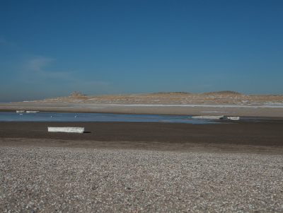 <i class='fa fa-user'></i>&nbsp;susan meijnders&nbsp;|  IJsland op de Maasvlakte&nbsp; <i class='fa fa-eye'>&nbsp;109</i> &nbsp;<i class='fa fa-thumbs-up'>&nbsp;1</i> &nbsp; <i class='fa fa-comment-o'>&nbsp;2</i>