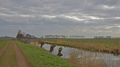 <i class='fa fa-user'></i>&nbsp;kooyammers&nbsp;|  Tiendweg Haastrecht&nbsp; <i class='fa fa-eye'>&nbsp;66</i> &nbsp;<i class='fa fa-thumbs-up'>&nbsp;2</i> &nbsp; <i class='fa fa-comment-o'>&nbsp;3</i>