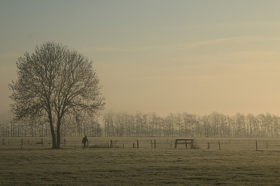 <i class='fa fa-user'></i>&nbsp;frbeuming&nbsp;|  Mens en natuur&nbsp; <i class='fa fa-eye'>&nbsp;97</i> &nbsp;<i class='fa fa-thumbs-up'>&nbsp;1</i> &nbsp; <i class='fa fa-comment-o'>&nbsp;2</i>