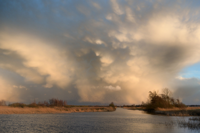 <i class='fa fa-user'></i>&nbsp;Hendrik van Kampen&nbsp;|  Cumulonimbus Mammatus&nbsp; <i class='fa fa-eye'>&nbsp;178</i> &nbsp;<i class='fa fa-thumbs-up'>&nbsp;19</i> &nbsp; <i class='fa fa-comment-o'>&nbsp;17</i>