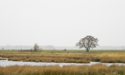 <i class='fa fa-user'></i>&nbsp;Tim Oord&nbsp;|  Buiig weer (2)&nbsp; <i class='fa fa-eye'>&nbsp;61</i> &nbsp; <i class='fa fa-comment-o'>&nbsp;1</i>