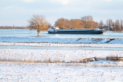 Sneeuw en hoog water in IJzige koude. Het water van de Lek komt nog net niet over de zomerdijk heen waardoor de met rijp bedekte Rijnaak in een soort badkuip lijkt te varen. Het gras op de grens schaduw-zon aan de onderkant van de dijk is alweer sneeuwvrij en de Ganzen maken daar dankbaar gebruik van.