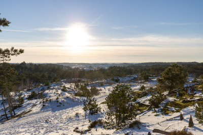 Het had gesneeuwd en we hadden zin in een wandeling in de duinen.
Het sneeuw was her en der nog onaangeraakt en het was echt prachtig om te zien. 
Deze foto heb ik op heen hoogtepunt gemaakt tegen de zin in, vond hem aardig geslaagd. ( had een nieuwe groothoek lens gekocht )