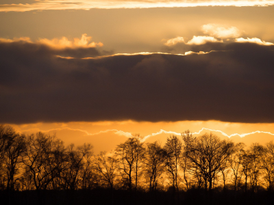 <i class='fa fa-user'></i>&nbsp;Truus Aletta Maan&nbsp;|  Zonsondergang&nbsp; <i class='fa fa-eye'>&nbsp;55</i> &nbsp;<i class='fa fa-thumbs-up'>&nbsp;2</i> &nbsp; <i class='fa fa-comment-o'>&nbsp;6</i>