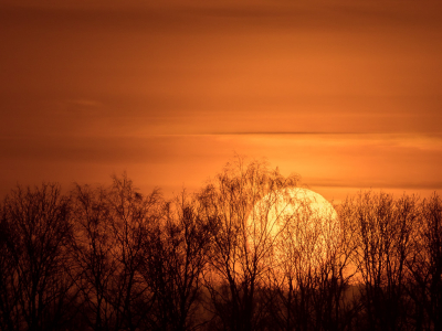 <i class='fa fa-user'></i>&nbsp;Truus Aletta Maan&nbsp;|  Zonsondergang&nbsp; <i class='fa fa-eye'>&nbsp;56</i> &nbsp;<i class='fa fa-thumbs-up'>&nbsp;2</i> &nbsp; <i class='fa fa-comment-o'>&nbsp;2</i>