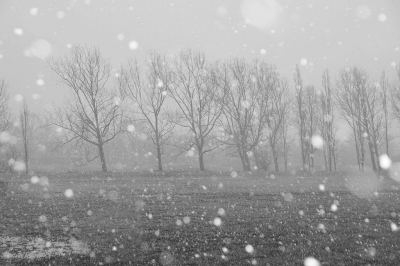 <i class='fa fa-user'></i>&nbsp;Nel R&nbsp;|  Sneeuw in april&nbsp; <i class='fa fa-eye'>&nbsp;91</i> &nbsp;<i class='fa fa-thumbs-up'>&nbsp;1</i> &nbsp; <i class='fa fa-comment-o'>&nbsp;6</i>