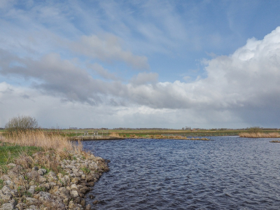 <i class='fa fa-user'></i>&nbsp;Tim Oord&nbsp;|  Wolkenlucht boven polder&nbsp; <i class='fa fa-eye'>&nbsp;59</i> &nbsp; <i class='fa fa-comment-o'>&nbsp;2</i>