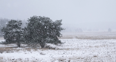 <i class='fa fa-user'></i>&nbsp;nelappelmelk&nbsp;|  De laatste sneeuwbui&nbsp; <i class='fa fa-eye'>&nbsp;83</i> &nbsp; <i class='fa fa-comment-o'>&nbsp;3</i>