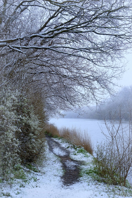 <i class='fa fa-user'></i>&nbsp;Nel R&nbsp;|  Winterwandeling in april&nbsp; <i class='fa fa-eye'>&nbsp;90</i> &nbsp;<i class='fa fa-thumbs-up'>&nbsp;1</i> &nbsp; <i class='fa fa-comment-o'>&nbsp;9</i>