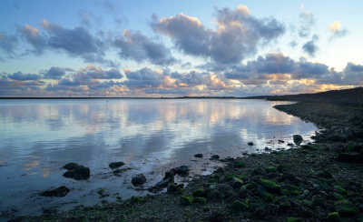 <i class='fa fa-user'></i>&nbsp;Nel R&nbsp;|  Langs de Oosterschelde&nbsp; <i class='fa fa-eye'>&nbsp;98</i> &nbsp;<i class='fa fa-thumbs-up'>&nbsp;4</i> &nbsp; <i class='fa fa-comment-o'>&nbsp;8</i>