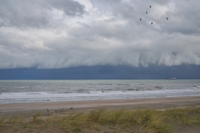 <i class='fa fa-user'></i>&nbsp;Corn� Stam&nbsp;|  Buienlucht boven Noordzee&nbsp; <i class='fa fa-eye'>&nbsp;78</i> &nbsp; <i class='fa fa-comment-o'>&nbsp;3</i>