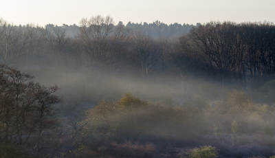 <i class='fa fa-user'></i>&nbsp;Eef Kieft&nbsp;|  Nevel in de duinen&nbsp; <i class='fa fa-eye'>&nbsp;68</i> &nbsp; <i class='fa fa-comment-o'>&nbsp;2</i>