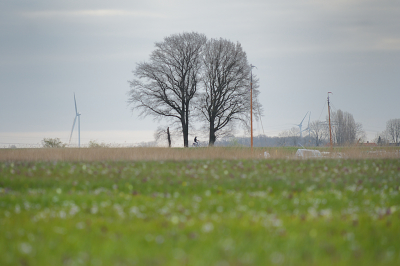 <i class='fa fa-user'></i>&nbsp;Hendrik van Kampen&nbsp;|  Kievitsbloemenlandschap&nbsp; <i class='fa fa-eye'>&nbsp;116</i> &nbsp;<i class='fa fa-thumbs-up'>&nbsp;1</i> &nbsp; <i class='fa fa-comment-o'>&nbsp;5</i>
