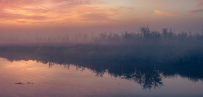 in eerste instantie was het mijn plan om de brug bij de moerputten te fotograferen met zeer dichte mist zodat de brug langzaam in de mist verdween. Maar toen ik er uiteindelijk was zag ik dit langs me gebeuren en heb ik heel mijn plan met de brug maar gelaten.