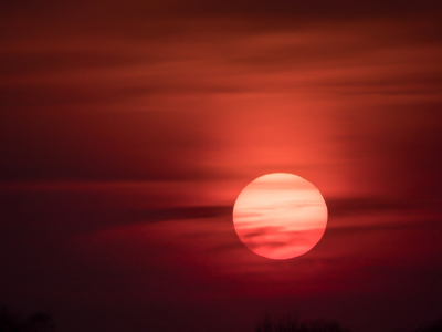 <i class='fa fa-user'></i>&nbsp;Truus Aletta Maan&nbsp;|  Zonsondergang&nbsp; <i class='fa fa-eye'>&nbsp;62</i> &nbsp;<i class='fa fa-thumbs-up'>&nbsp;3</i> &nbsp; <i class='fa fa-comment-o'>&nbsp;2</i>