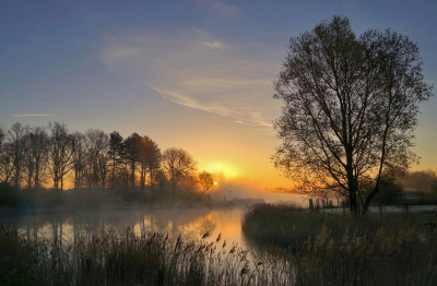 <i class='fa fa-user'></i>&nbsp;Nel R&nbsp;|  De morgenstond heeft goud in de mond&nbsp; <i class='fa fa-eye'>&nbsp;80</i> &nbsp;<i class='fa fa-thumbs-up'>&nbsp;8</i> &nbsp; <i class='fa fa-comment-o'>&nbsp;8</i>