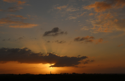 <i class='fa fa-user'></i>&nbsp;Eric Gibcus&nbsp;|  Zonsopkomst&nbsp; <i class='fa fa-eye'>&nbsp;55</i> &nbsp; <i class='fa fa-comment-o'>&nbsp;1</i>