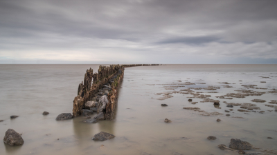 <i class='fa fa-user'></i>&nbsp;BertK&nbsp;|  Friese wadden&nbsp; <i class='fa fa-eye'>&nbsp;101</i> &nbsp;<i class='fa fa-thumbs-up'>&nbsp;6</i> &nbsp; <i class='fa fa-comment-o'>&nbsp;8</i>