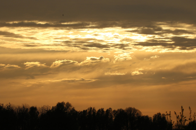 <i class='fa fa-user'></i>&nbsp;Alwin K.&nbsp;|  Zonsondergang met Gierzwaluw&nbsp; <i class='fa fa-eye'>&nbsp;69</i> &nbsp;<i class='fa fa-thumbs-up'>&nbsp;1</i> &nbsp; <i class='fa fa-comment-o'>&nbsp;2</i>