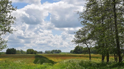 <i class='fa fa-user'></i>&nbsp;kooyammers&nbsp;|  Polder Bergambacht&nbsp; <i class='fa fa-eye'>&nbsp;69</i> &nbsp;<i class='fa fa-thumbs-up'>&nbsp;2</i> &nbsp; <i class='fa fa-comment-o'>&nbsp;2</i>