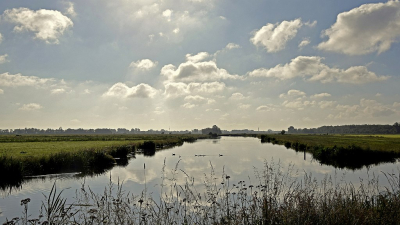 <i class='fa fa-user'></i>&nbsp;kooyammers&nbsp;|  Ochtendsfeer in de polder&nbsp; <i class='fa fa-eye'>&nbsp;64</i> &nbsp;<i class='fa fa-thumbs-up'>&nbsp;3</i> &nbsp; <i class='fa fa-comment-o'>&nbsp;2</i>