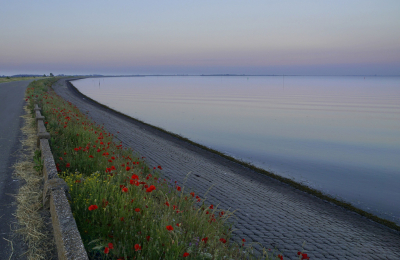 <i class='fa fa-user'></i>&nbsp;Nel R&nbsp;|  Avond aan de Oosterschelde&nbsp; <i class='fa fa-eye'>&nbsp;107</i> &nbsp;<i class='fa fa-thumbs-up'>&nbsp;2</i> &nbsp; <i class='fa fa-comment-o'>&nbsp;6</i>