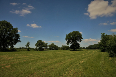 <i class='fa fa-user'></i>&nbsp;frbeuming&nbsp;|  Landschap&nbsp; <i class='fa fa-eye'>&nbsp;59</i> &nbsp;<i class='fa fa-thumbs-up'>&nbsp;1</i> &nbsp; <i class='fa fa-comment-o'>&nbsp;1</i>