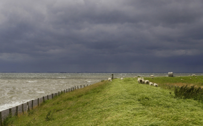 <i class='fa fa-user'></i>&nbsp;Nel R&nbsp;|  Storm over Zeeland&nbsp; <i class='fa fa-eye'>&nbsp;93</i> &nbsp;<i class='fa fa-thumbs-up'>&nbsp;3</i> &nbsp; <i class='fa fa-comment-o'>&nbsp;5</i>