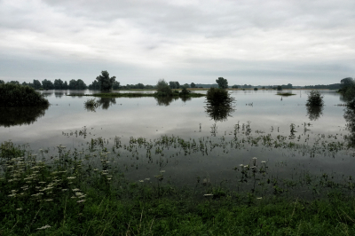 <i class='fa fa-user'></i>&nbsp;nelappelmelk&nbsp;|  Hoog water&nbsp; <i class='fa fa-eye'>&nbsp;91</i> &nbsp;<i class='fa fa-thumbs-up'>&nbsp;2</i> &nbsp; <i class='fa fa-comment-o'>&nbsp;4</i>
