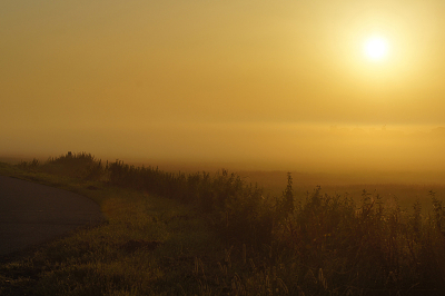 Deze foto is genomen om 6:15 in de ochtend.  In de stad was er lichte mist maar toen ik de polder inreed was er hier en daar dichte mist.