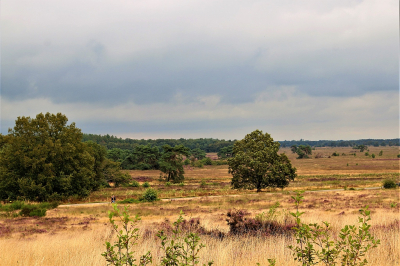 <i class='fa fa-user'></i>&nbsp;frbeuming&nbsp;|  Landschap&nbsp; <i class='fa fa-eye'>&nbsp;76</i> &nbsp; <i class='fa fa-comment-o'>&nbsp;1</i>