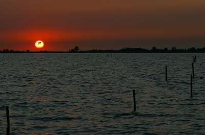 <i class='fa fa-user'></i>&nbsp;jens&nbsp;| zonsondergang met meeuw voor de zon&nbsp; <i class='fa fa-eye'>&nbsp;370</i> &nbsp; <i class='fa fa-comment-o'>&nbsp;1</i>