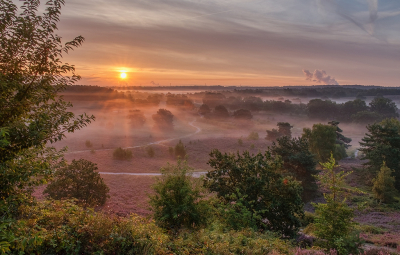 <i class='fa fa-user'></i>&nbsp;Jurgen Maassen&nbsp;|  Brunssummerheide&nbsp; <i class='fa fa-eye'>&nbsp;147</i> &nbsp;<i class='fa fa-thumbs-up'>&nbsp;14</i> &nbsp; <i class='fa fa-comment-o'>&nbsp;8</i>