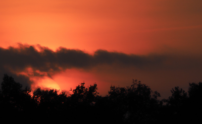 <i class='fa fa-user'></i>&nbsp;Truus Aletta Maan&nbsp;|  Zonsondergang&nbsp; <i class='fa fa-eye'>&nbsp;61</i> &nbsp;<i class='fa fa-thumbs-up'>&nbsp;2</i> &nbsp; <i class='fa fa-comment-o'>&nbsp;8</i>