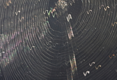 <i class='fa fa-user'></i>&nbsp;Cor&nbsp;|  Spinneweb&nbsp; <i class='fa fa-eye'>&nbsp;77</i> &nbsp; <i class='fa fa-comment-o'>&nbsp;11</i>