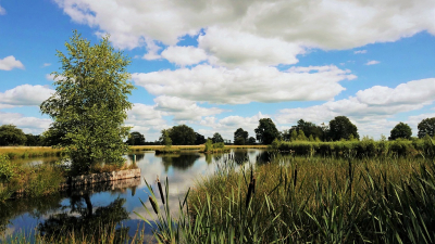 <i class='fa fa-user'></i>&nbsp;frbeuming&nbsp;|  Landschap&nbsp; <i class='fa fa-eye'>&nbsp;70</i> &nbsp; <i class='fa fa-comment-o'>&nbsp;3</i>
