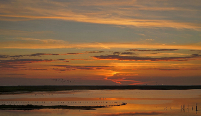 <i class='fa fa-user'></i>&nbsp;Nel R&nbsp;|  Na zonsondergang&nbsp; <i class='fa fa-eye'>&nbsp;93</i> &nbsp;<i class='fa fa-thumbs-up'>&nbsp;11</i> &nbsp; <i class='fa fa-comment-o'>&nbsp;9</i>