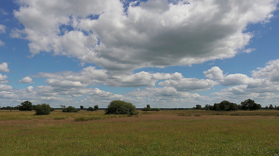 <i class='fa fa-user'></i>&nbsp;frbeuming&nbsp;|  Landschap&nbsp; <i class='fa fa-eye'>&nbsp;61</i> &nbsp;<i class='fa fa-thumbs-up'>&nbsp;2</i> &nbsp; <i class='fa fa-comment-o'>&nbsp;3</i>
