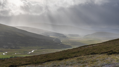 <i class='fa fa-user'></i>&nbsp;Arjen Drost&nbsp;|  Cairngorms&nbsp; <i class='fa fa-eye'>&nbsp;98</i> &nbsp;<i class='fa fa-thumbs-up'>&nbsp;10</i> &nbsp; <i class='fa fa-comment-o'>&nbsp;8</i>