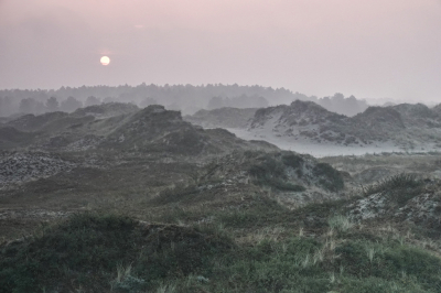 <i class='fa fa-user'></i>&nbsp;nelappelmelk&nbsp;|  Mist op de Wadden&nbsp; <i class='fa fa-eye'>&nbsp;99</i> &nbsp;<i class='fa fa-thumbs-up'>&nbsp;2</i> &nbsp; <i class='fa fa-comment-o'>&nbsp;8</i>