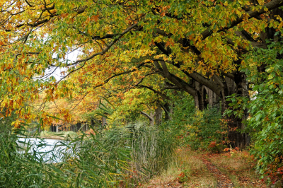 <i class='fa fa-user'></i>&nbsp;nelappelmelk&nbsp;|  Herfst&nbsp; <i class='fa fa-eye'>&nbsp;89</i> &nbsp; <i class='fa fa-comment-o'>&nbsp;4</i>