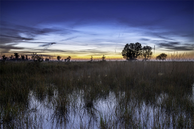 <i class='fa fa-user'></i>&nbsp;wimwes&nbsp;|  Zonsondergang Fochtelo�rveen&nbsp; <i class='fa fa-eye'>&nbsp;105</i> &nbsp;<i class='fa fa-thumbs-up'>&nbsp;2</i> &nbsp; <i class='fa fa-comment-o'>&nbsp;3</i>